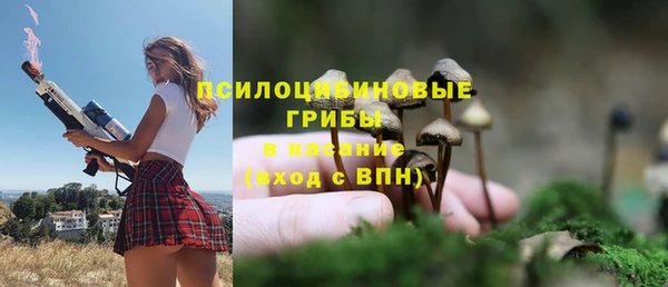 а пвп мука Абдулино