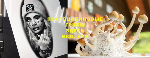 ГАЛЛЮЦИНОГЕННЫЕ ГРИБЫ Абаза