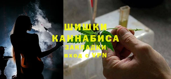 ГАЛЛЮЦИНОГЕННЫЕ ГРИБЫ Абаза