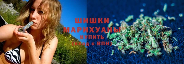 ГАЛЛЮЦИНОГЕННЫЕ ГРИБЫ Абаза