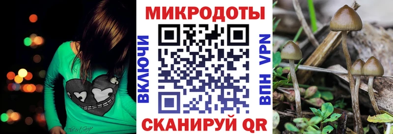 Галлюциногенные грибы Psilocybine cubensis  наркотики  Костомукша 